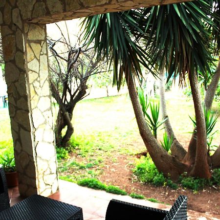 Casa In Giardino A Pochi Passi Dal Mare Villa Палермо Екстериор снимка